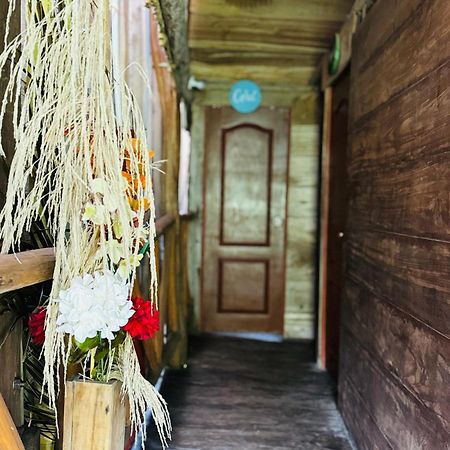Palmario Hostal Guachaca Esterno foto