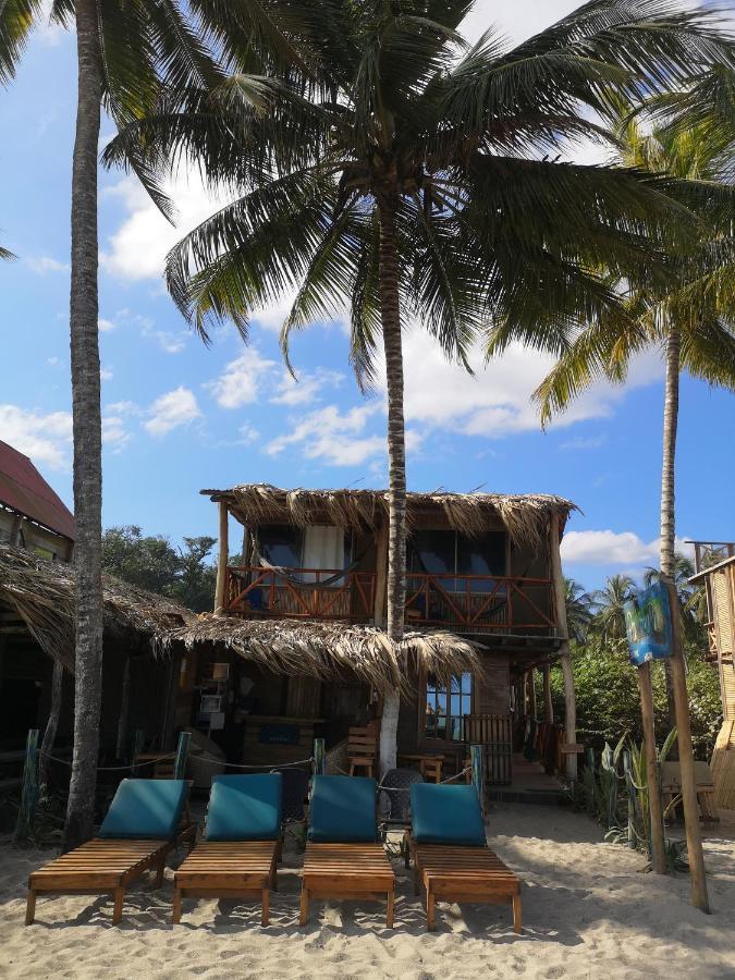Palmario Hostal Guachaca Esterno foto