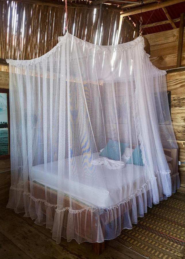 Palmario Hostal Guachaca Esterno foto