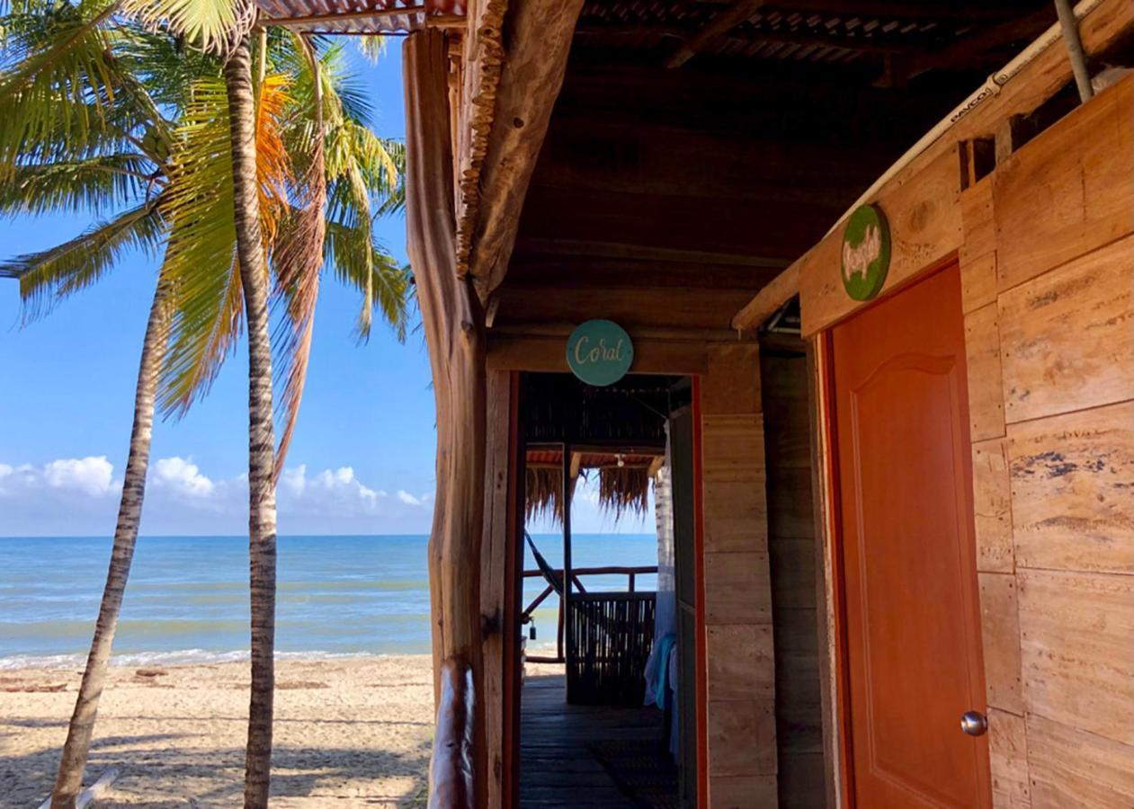 Palmario Hostal Guachaca Esterno foto