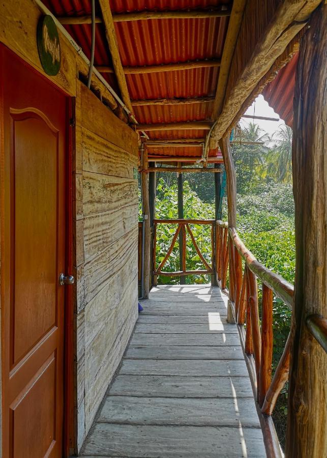 Palmario Hostal Guachaca Esterno foto