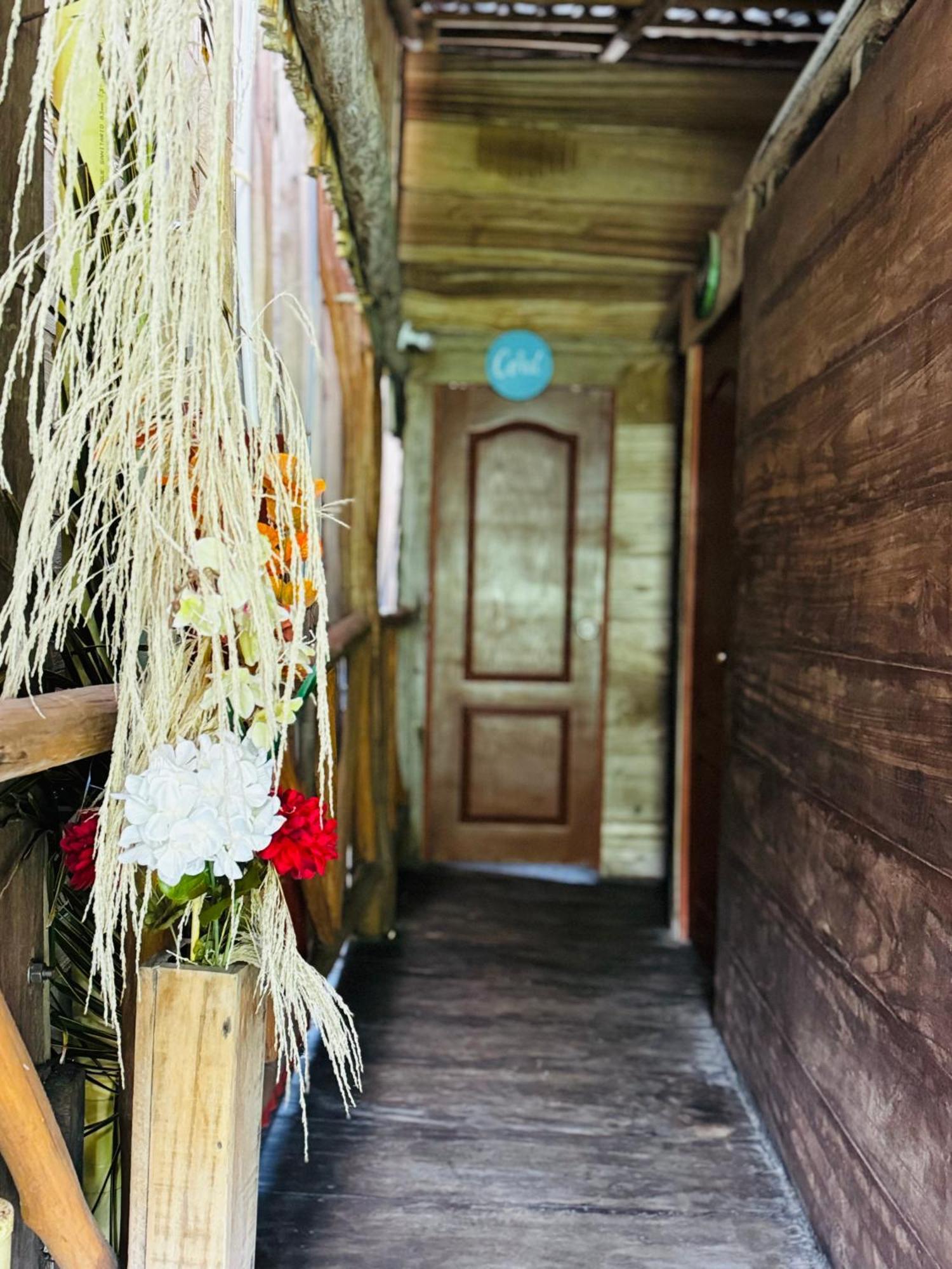 Palmario Hostal Guachaca Esterno foto